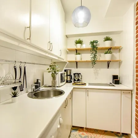 Wonderful View Studio On Calea Victoriei - Homey Bucharest